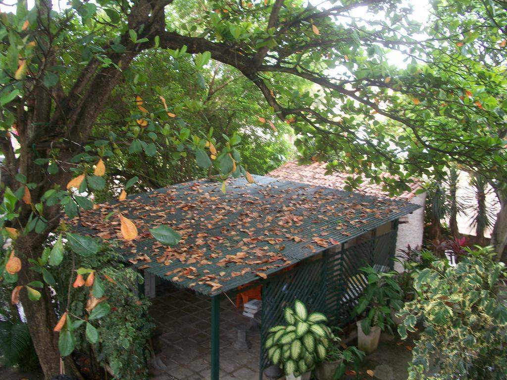 Pousada Ricardinho Do Frances Hotel Praia do Francês Exterior foto